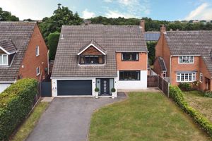 Photo 1- click for photo gallery